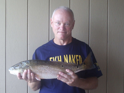 142-5_image_un_fishsept072006005.png