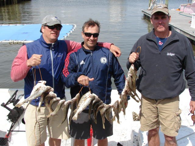 buck-sir-jonh-vamullet.jpg