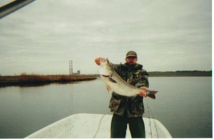 Affordable Charters fishing picture2
