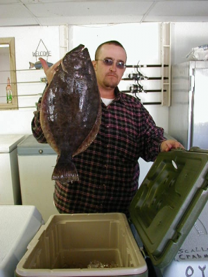 21-6_image_tf_adamsflounder.png
