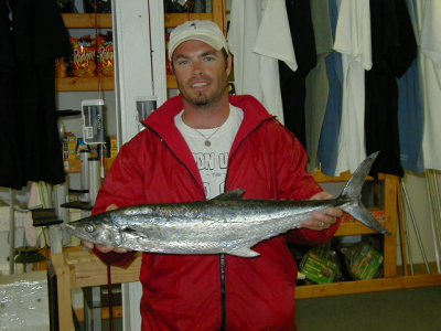 37-6_image_fw_p5300013.png