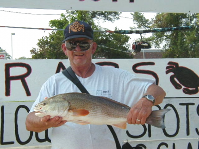 60-6_image_lo_p8040060.png