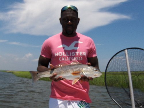 Cape Fear Red drum