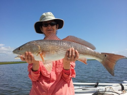 Bald Head Island Fishing 003 (500x375) Annette catches Red Fish