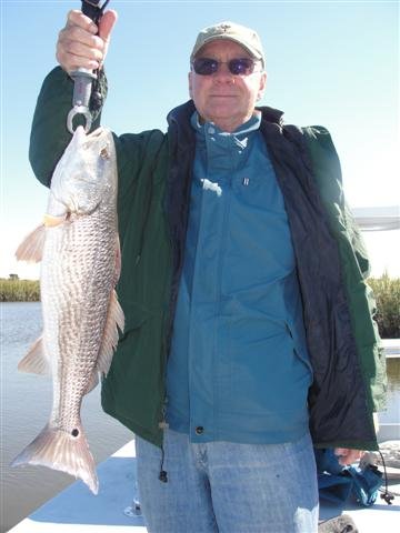 DSC01176 (Small)