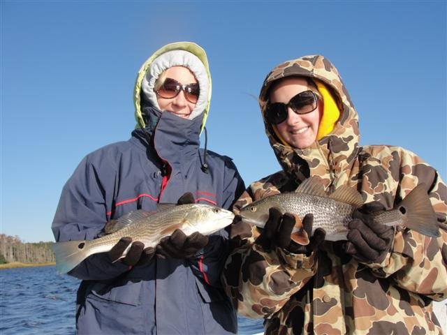 DSC01210 (Small)