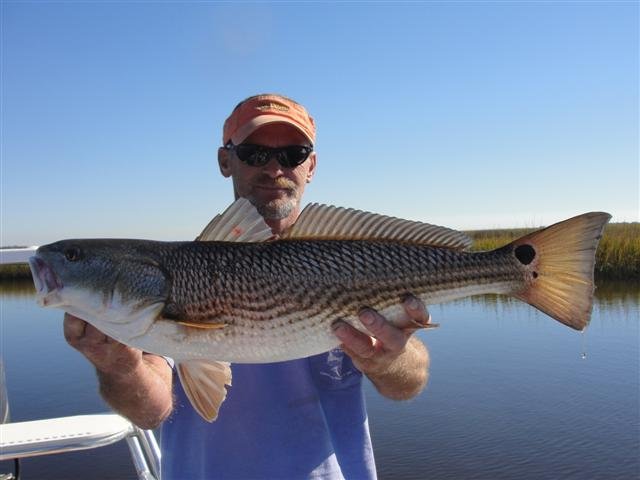 DSC01221 (Small)