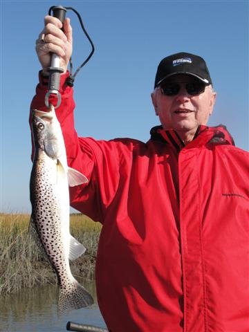 DSC01237 (Small)