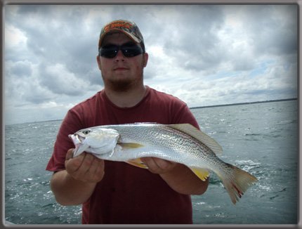 biggraytrout.jpg