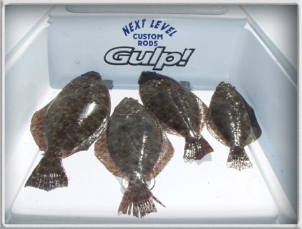 flounderondeckresized.jpg