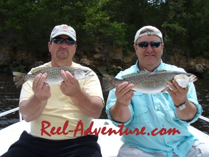 6-3-082trout.jpg