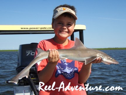 6-3-08kidshark.jpg