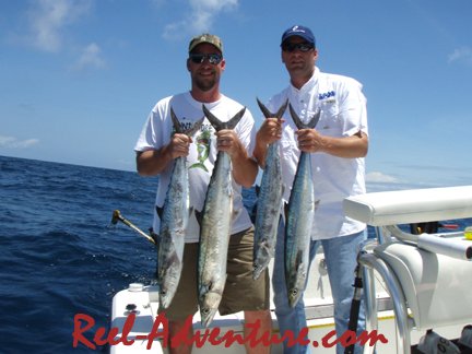 6-3-08kingsholdingup.jpg