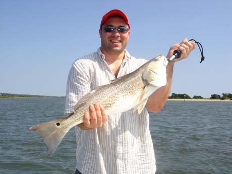 shanes-nice-red.jpg