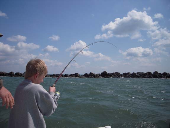 5-rodbent2.jpg