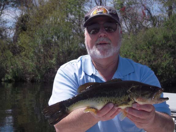 7-bass1.jpg