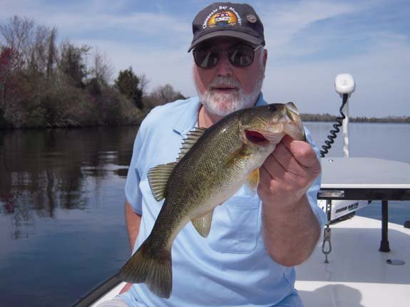 8-bass2.jpg