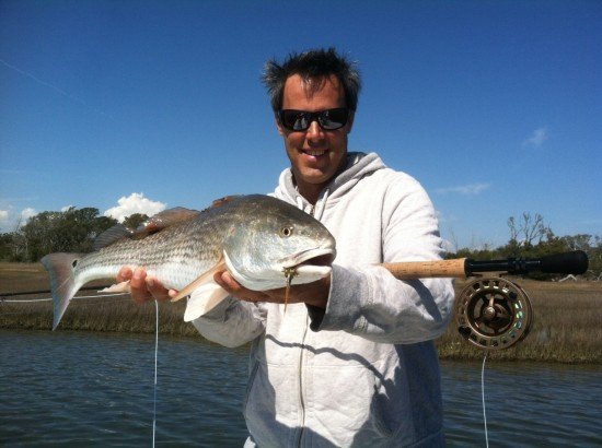 Red on Fly Gary Hurley