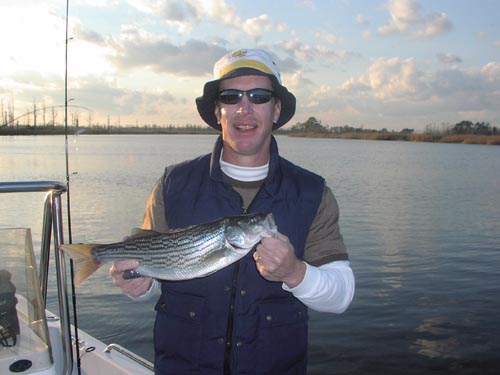 cape fear river striped bass