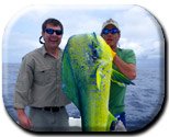 Blue Marlin Fishing Charters