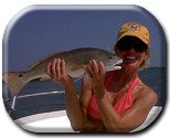 Capt. John's Fishing Charters