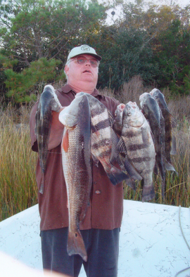 Larry caught these nice red drum and black drum