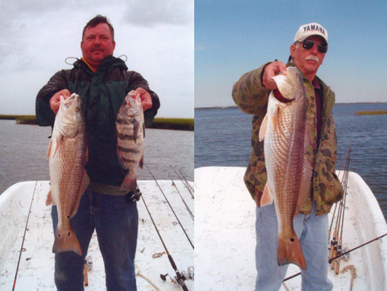 reds and black drum