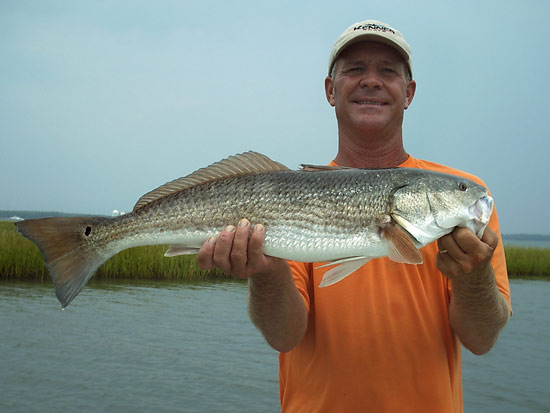 Big red drum