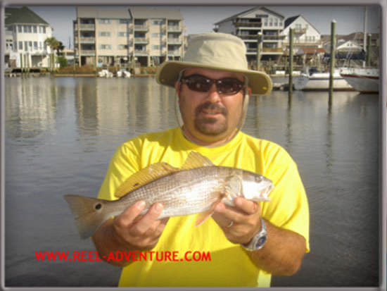 redfish