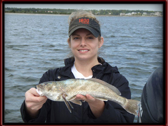 virginia mullet